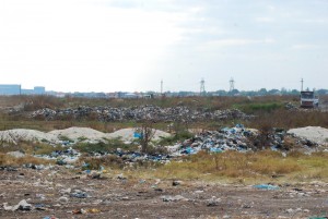 dsc 9619         